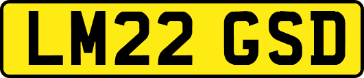 LM22GSD