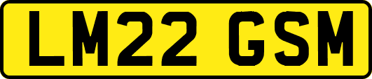 LM22GSM
