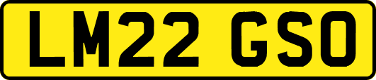LM22GSO