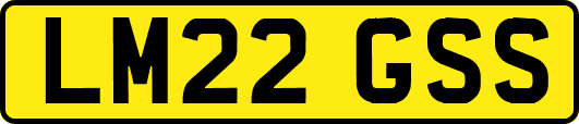 LM22GSS