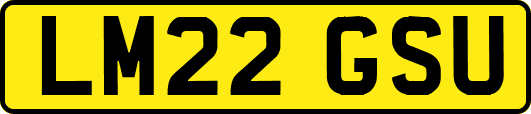 LM22GSU