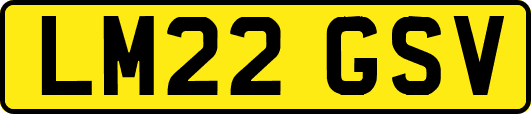 LM22GSV