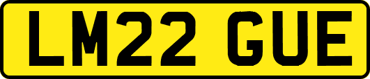 LM22GUE