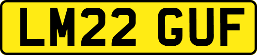 LM22GUF
