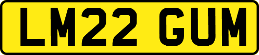 LM22GUM