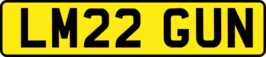 LM22GUN