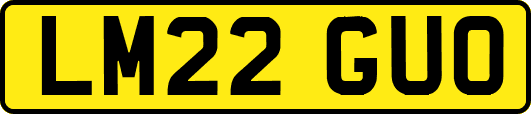 LM22GUO