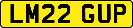 LM22GUP