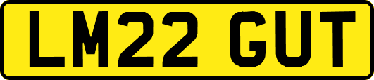 LM22GUT
