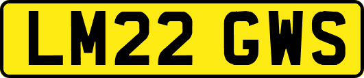 LM22GWS