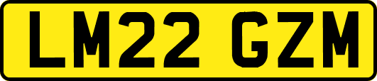 LM22GZM
