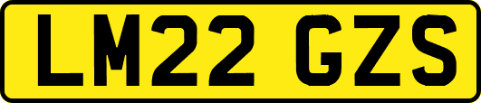LM22GZS