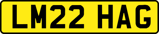LM22HAG