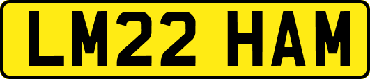 LM22HAM