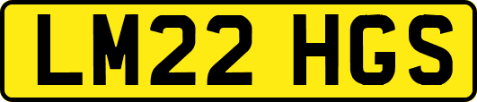 LM22HGS