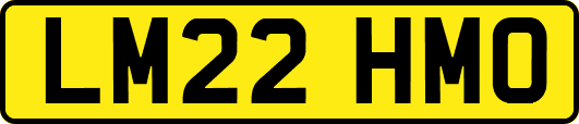 LM22HMO
