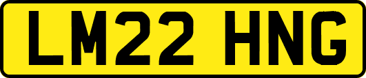 LM22HNG