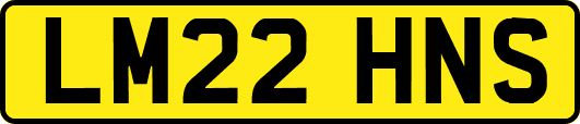 LM22HNS