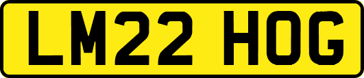 LM22HOG