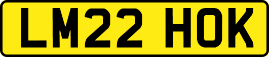 LM22HOK