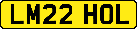 LM22HOL