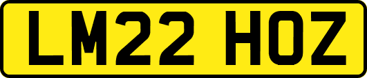 LM22HOZ