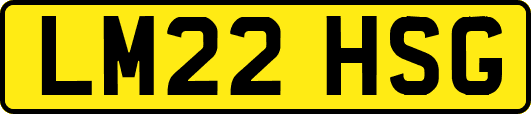 LM22HSG