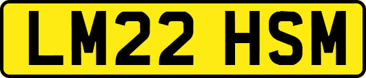 LM22HSM