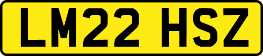 LM22HSZ