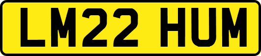 LM22HUM