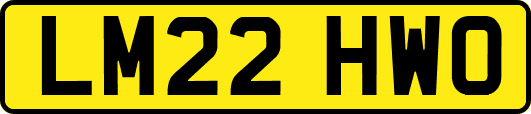 LM22HWO