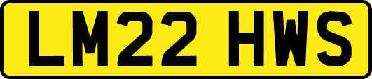 LM22HWS