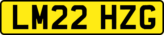 LM22HZG