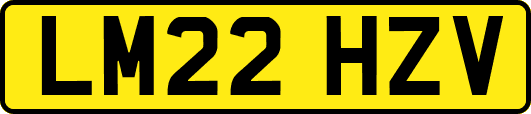 LM22HZV
