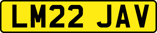 LM22JAV