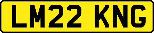 LM22KNG