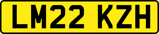 LM22KZH
