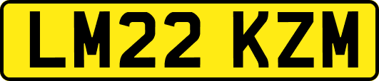 LM22KZM