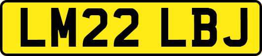 LM22LBJ