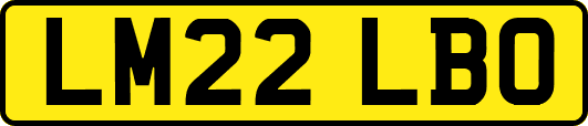LM22LBO