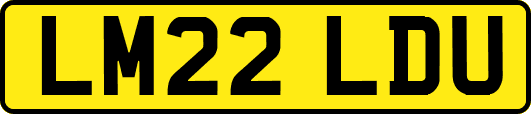 LM22LDU
