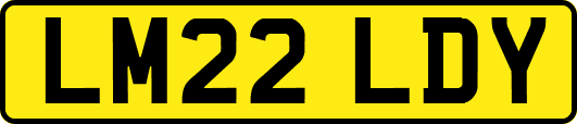 LM22LDY