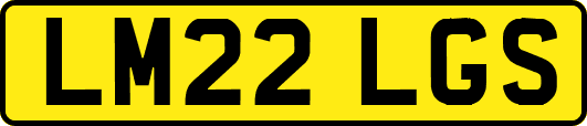 LM22LGS