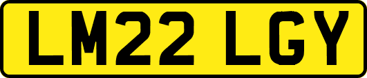 LM22LGY