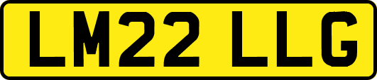 LM22LLG