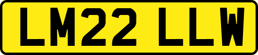 LM22LLW