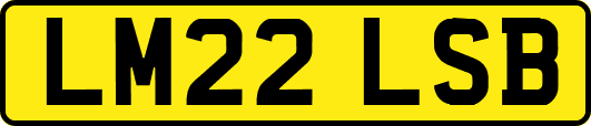 LM22LSB