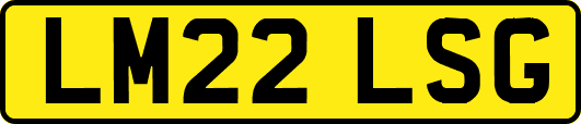 LM22LSG