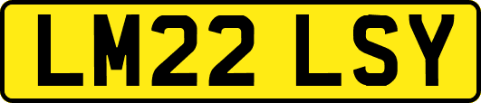 LM22LSY