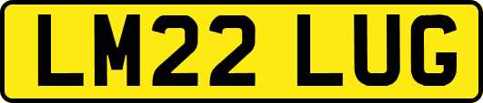 LM22LUG